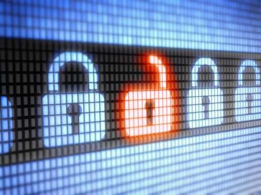 Ecommerce Security