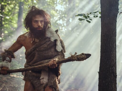 Keyword Cannibalisation